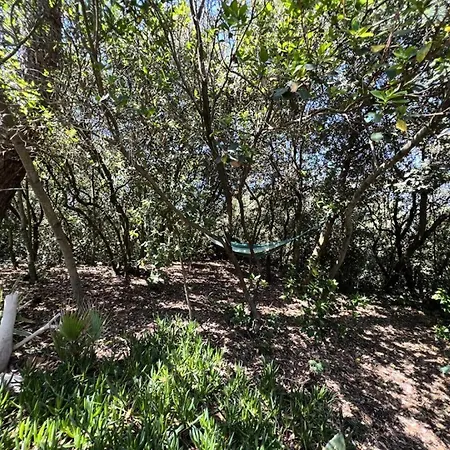 032-soulac Sur - 032 - 3 Au Calme A 2 Pas Des Plages Et Du Centre-ville Mae-3571 Villa