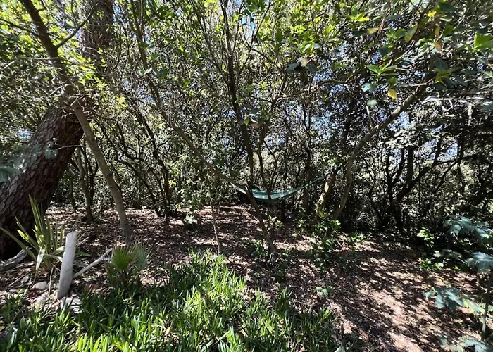 032-soulac Sur - 032 - 3 Au Calme A 2 Pas Des Plages Et Du Centre-ville Mae-3571 Willa